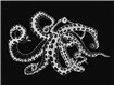 9500802 - panel Octopus X-Ray Black Naturae Coordonne
