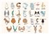 9700140 - panel Animal Alphabet Multi Mies Coordonne