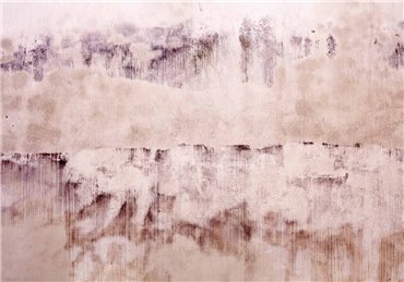 6500301 - panel Pink old wall Random Papers Coordonne