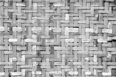 6500320 - panel Palm tree frame Grey Random Papers Coordonne