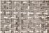 6500321 - panel Palm tree frame Sepia Random Papers Coordonne