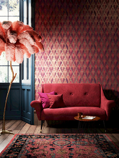 Cabinet of Curiosities