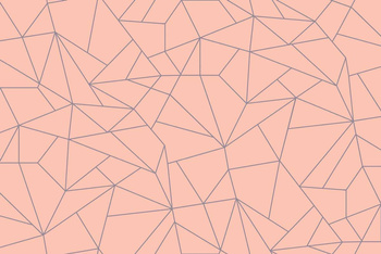 5900082 - panel Fractal salmón Anima Coordonne