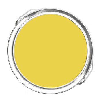 363 - Lemon Grove Benjamin Moore