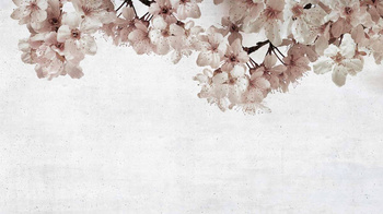 6500309 - panel Blossom big almond flower Random Papers Coordonne