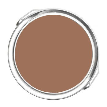 1169 - Antique Copper Benjamin Moore