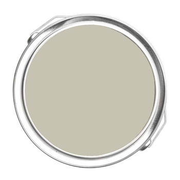 1501 - Paris Rain Benjamin Moore