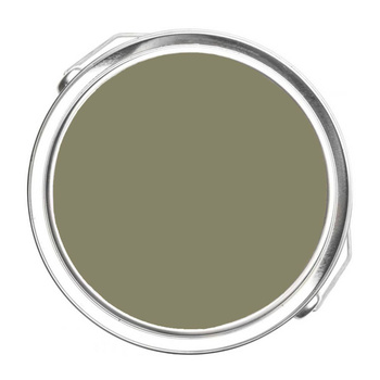 510 - Springfield Sage Benjamin Moore