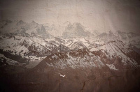 Non-woven