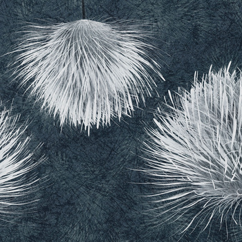 Tapeta Inkiostro Bianco CARDUUS INKUDAR2201