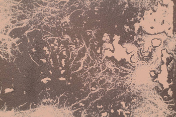 336_002 – fototapeta Soil and Cement Dust, Cipria Taplab