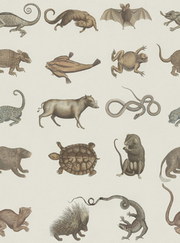 Tapeta Mind The Gap WP20001 ARK OF SEBA