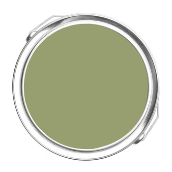 488 - Mountain Lane Benjamin Moore