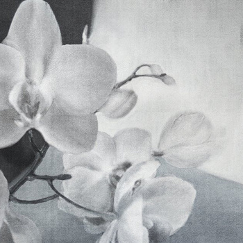 WDLY2001 – fototapeta Lyric Contemporary 2020 Wall & Deco