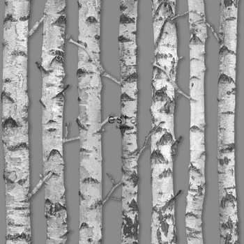 143-138892 - tapeta Birch Trunks Green House Esta Home