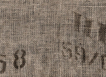 6500804 - panel Sacking Natural Random Papers Coordonne