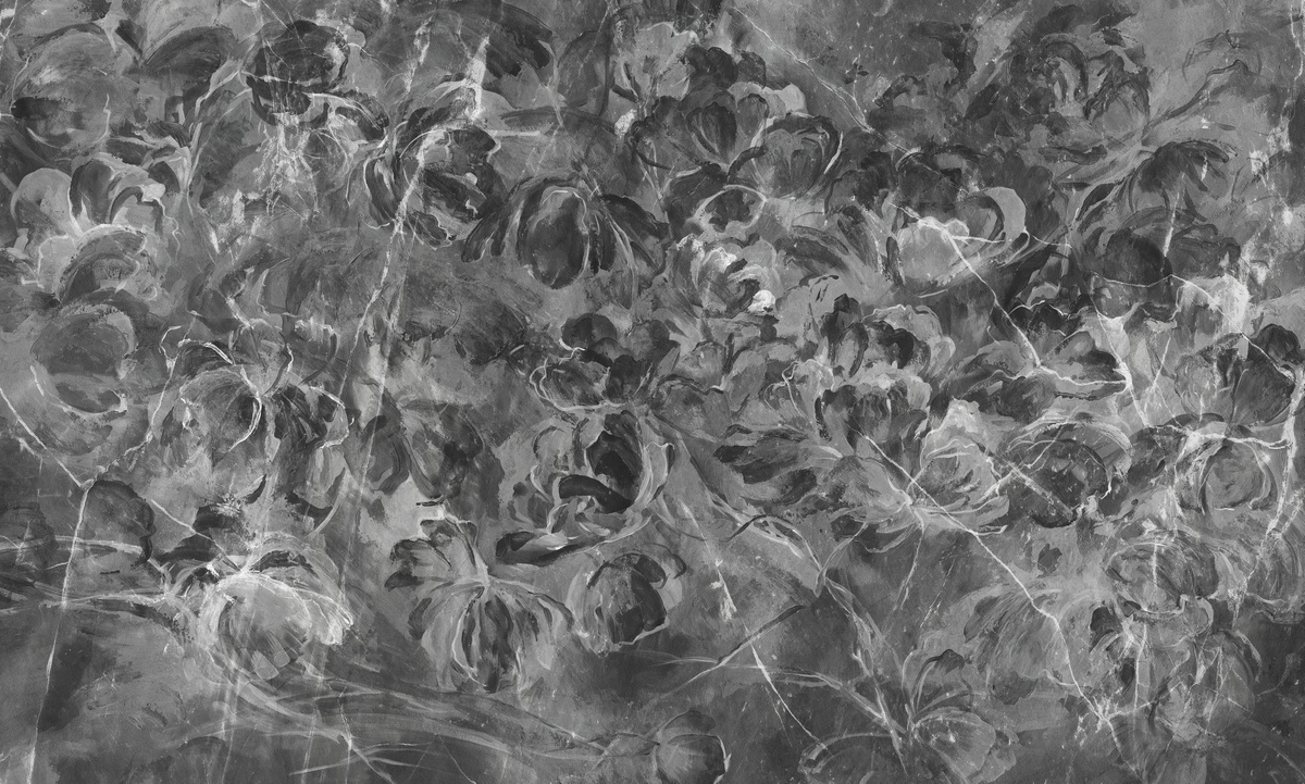 Tapeta na wymiar RAUV Midnight Bloom w kwiaty na szarym tle do salonu