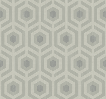 DG10400 - tapeta Hexagon Lattice Geometric Effects WallQuest