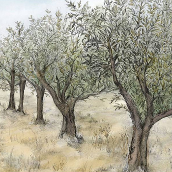 75851222 – tapeta Lauris Int Panoramas 2 Casamance