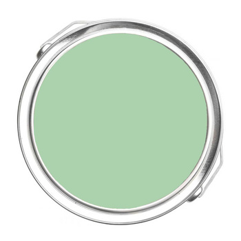 563 - Douglas Fern Benjamin Moore