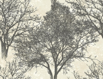 Langdale Tapeta Carl Robinson 12 WallQuest