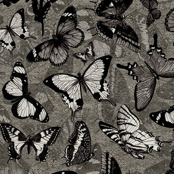 WDCM1502 – fototapeta Catch Me Contemporary 2015 Wall & Deco