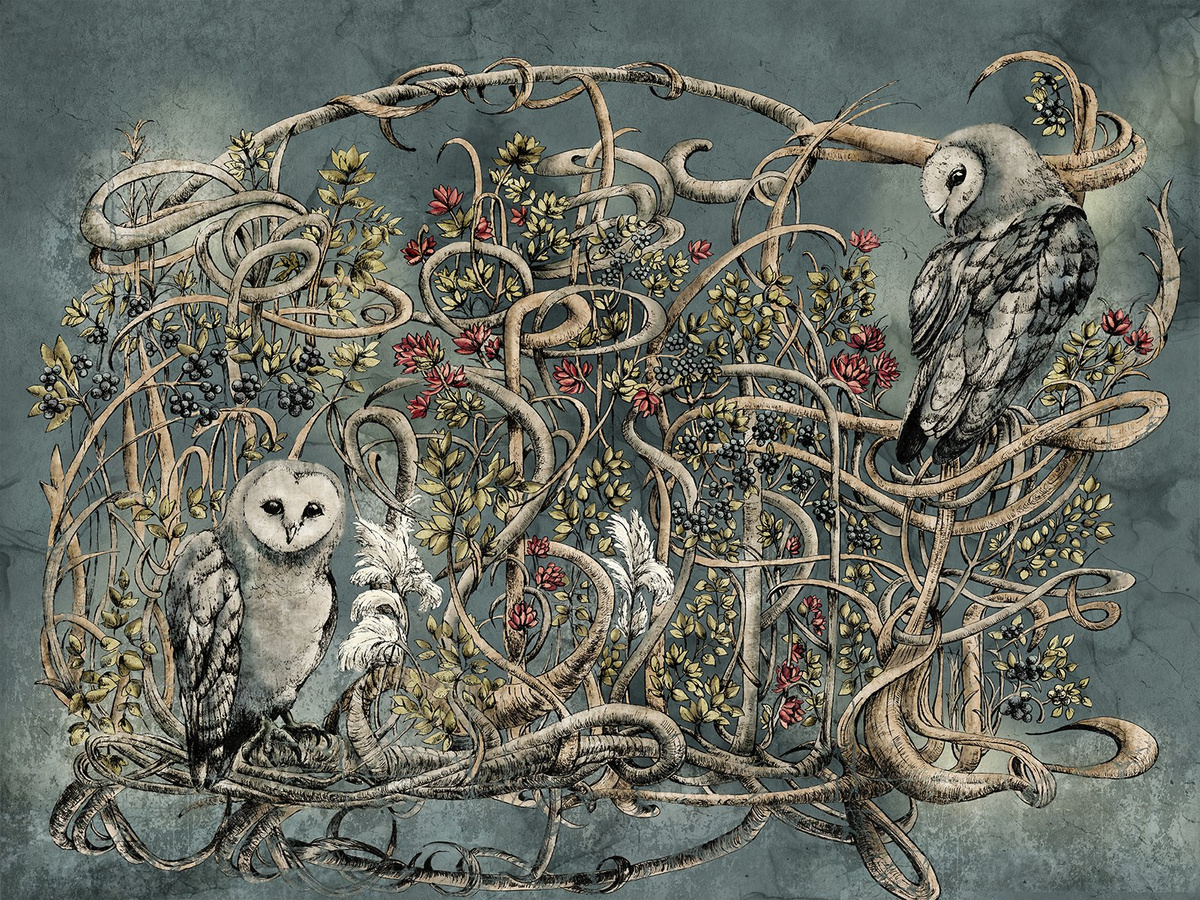 Fototapeta AVERA 500 32 2102 WallCraft – sowy na tle roślinnej ilustracji