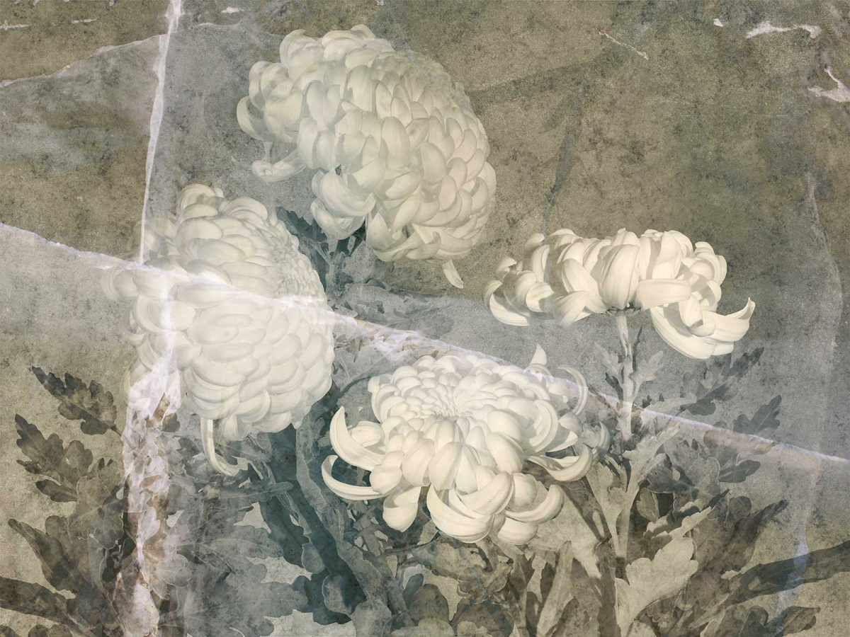 FOTOTAPETA FLOSS 580 32 2201 WALLCRAFT – kwiatowy mural ścienny na wymiar