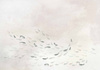 Non-woven
