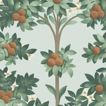 117/1004 – tapeta Orange Blossom Seville Cole&Son
