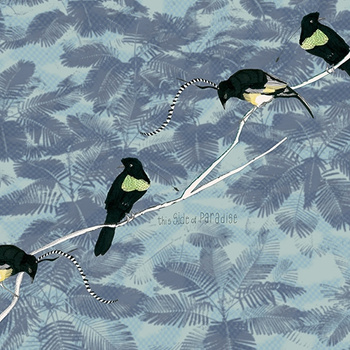 WDCS1701 – fototapeta Courtship Contemporary 2017 Wall & Deco