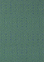 zielony