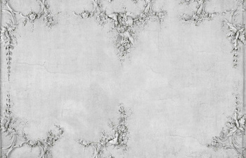 6800504 - panel Ceiling  Old Random Papers II Coordonne