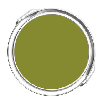 2146-10 Dark Celery Benjamin Moore