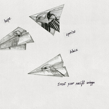 WDIK1502 – fototapeta Ikaria Contemporary 2015 Wall & Deco