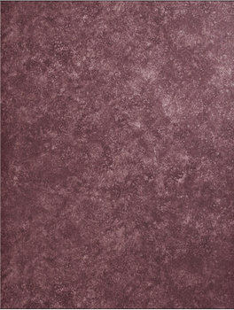 1989-314 Fresco Tapeta ścienna PT Vivo