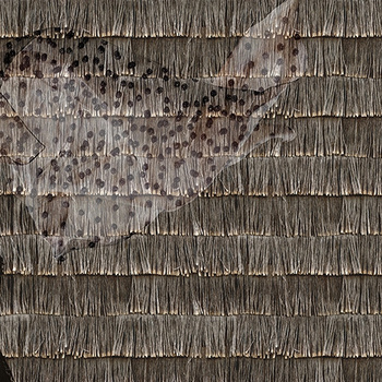 WDPP1902 - fototapeta Poid Plume  Contemporary 2019 Wall & Deco