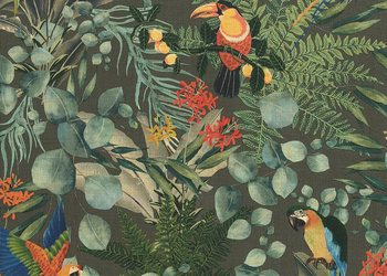 6523 - tapeta Parrots 181 Lemuria J&V