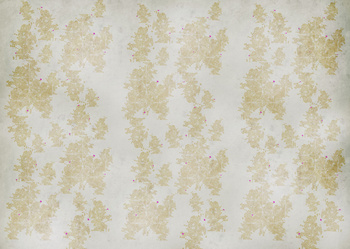 70873-2_A – fototapeta  Up-Studio Location/Dislocation-BONE Tecnografica