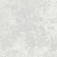 Non-woven