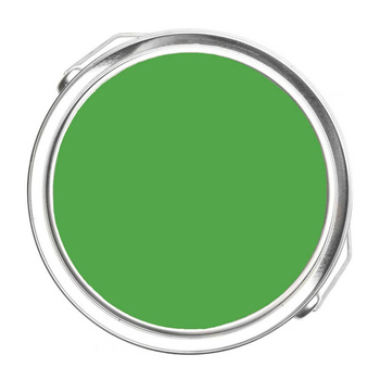 560 - Sullivan Green Benjamin Moore