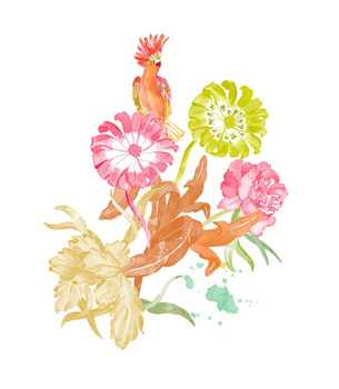 4800076 - panel Cacatua Lara Costafreda Coordonne