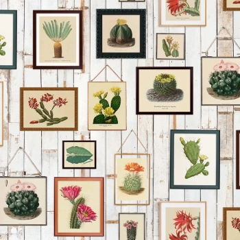 R15321 – fototapeta Cactus Wall Art Rebel Walls