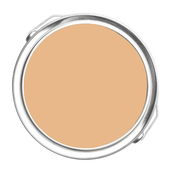 117 - Persian Melon Benjamin Moore