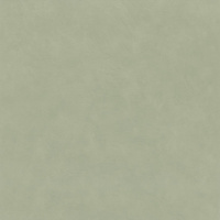 zielony