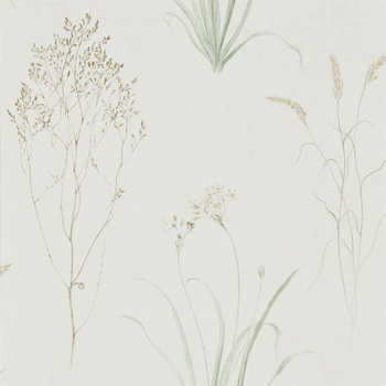 SN216488 – tapeta Farne Grasses Willow/Pebble Embleton Bay Sanderson