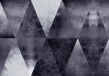 9600201 - panel Carlo Silver Random Metallics Coordonne