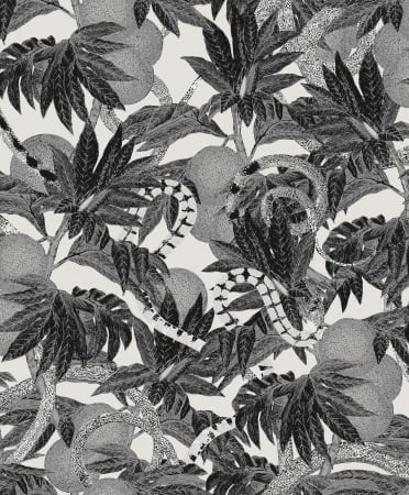 CAB202 – tapeta Equator Cabinet Khroma – Khroma – zdjęcie produktu