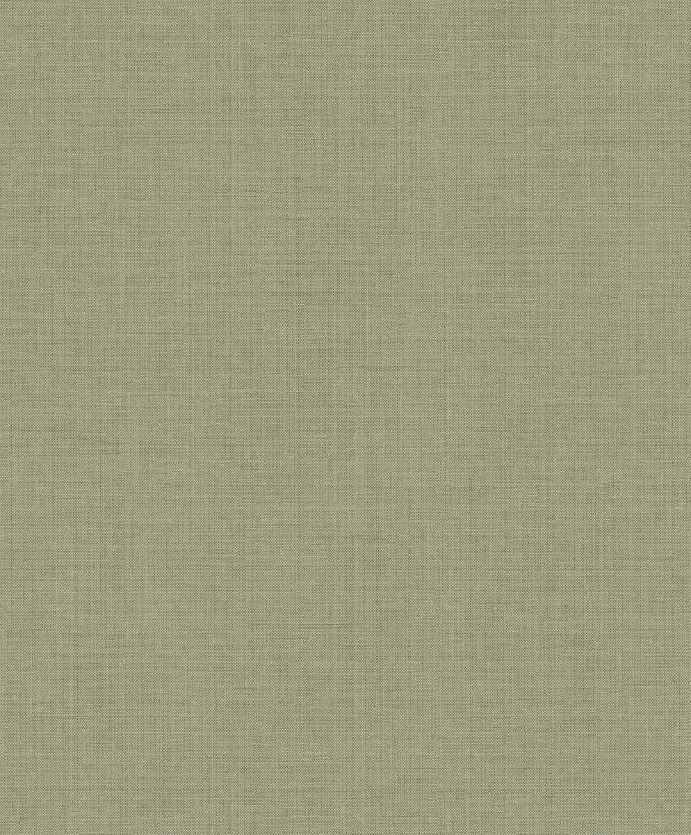 Orbit Farn - tapeta Aquila Khroma – Khroma – zdjęcie produktu