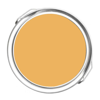 181 - Pan For Gold Benjamin Moore